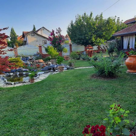 Guest House Rose Smederevska Palanka Bagian luar foto