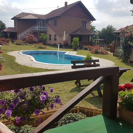 Guest House Rose Smederevska Palanka Bagian luar foto