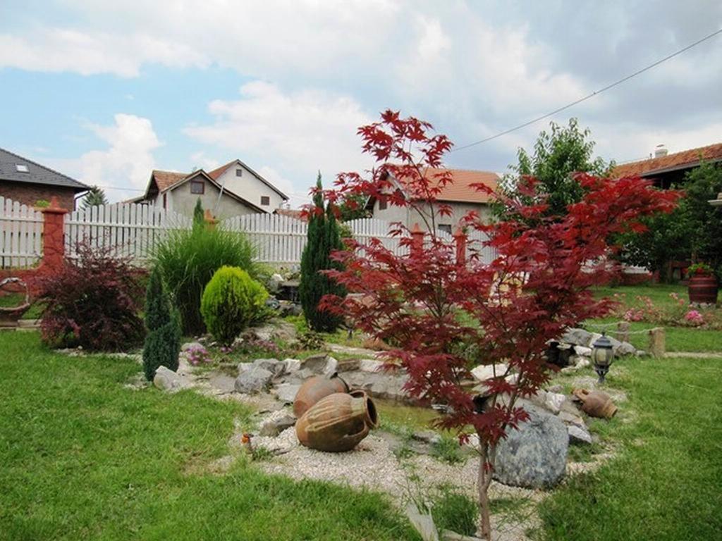 Guest House Rose Smederevska Palanka Bagian luar foto